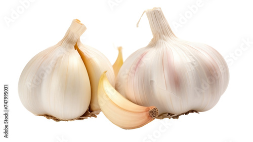 fresh garlic Realistic Portrait Isolated On Transparent Background Or PNG Background.