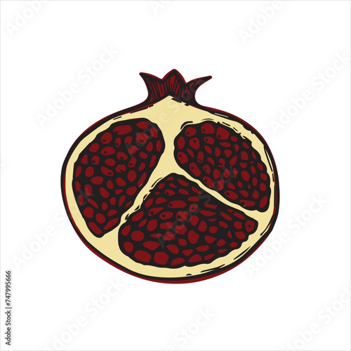 vector illustration with pomegranate. print for fabric with fruits, pattern for paper with fruits