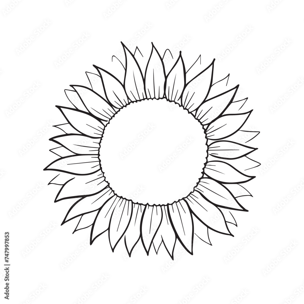 stylized flowers drawn in vector, plant sketch. linear graphics of a natural object
