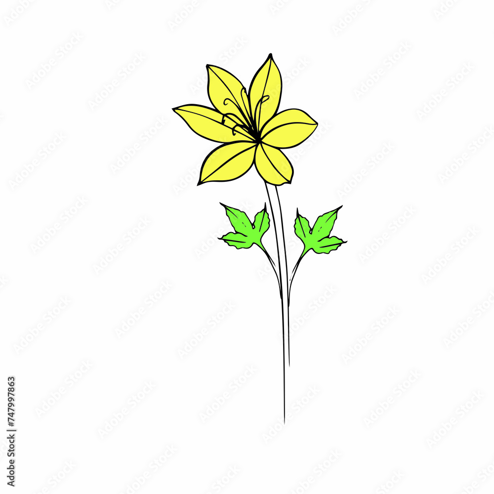 tulips drawn in vector, spring flower. Mother's Day card tulips drawn in vector, spring flower. Mother's Day card