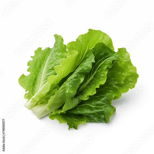 lettuce leaves on white background.  