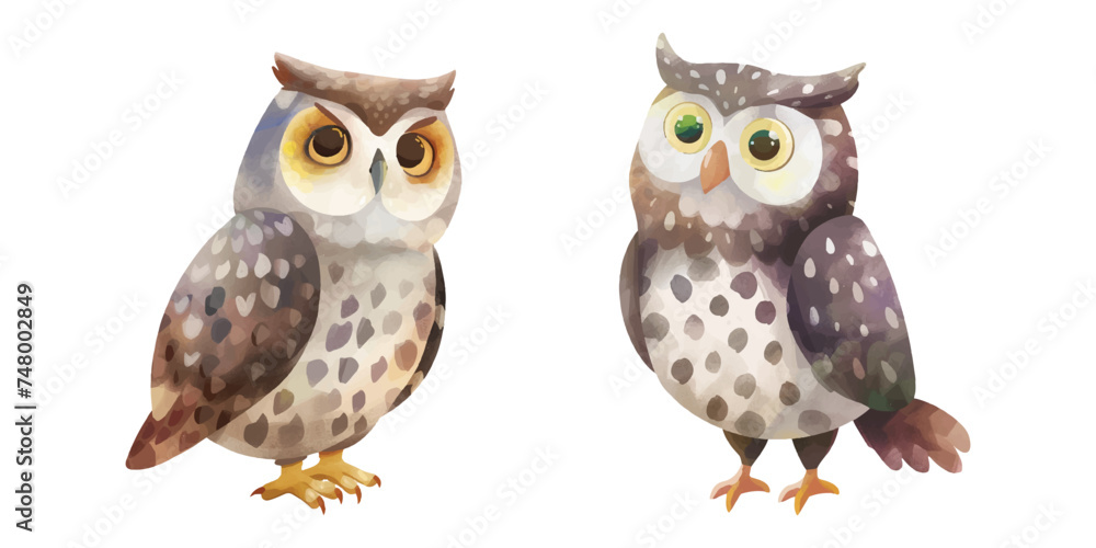 cute owl watercolour vector illustration 