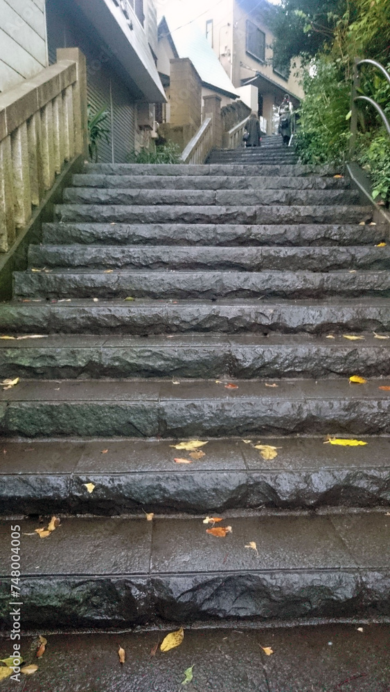 雨上がりの石段