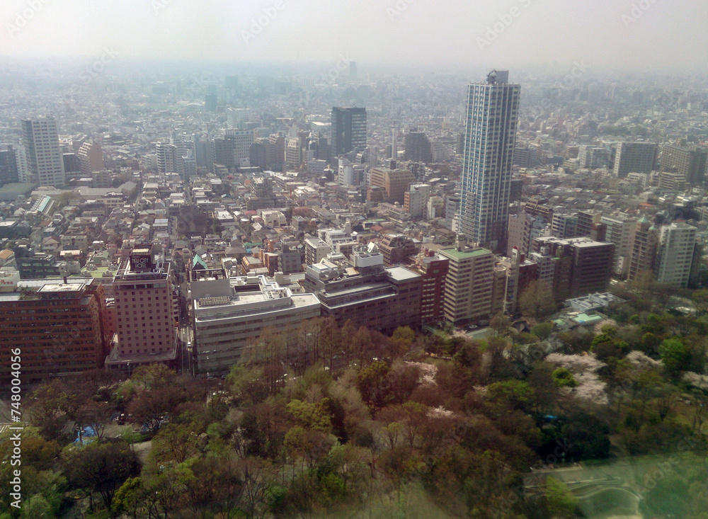 ビルから見下ろした風景