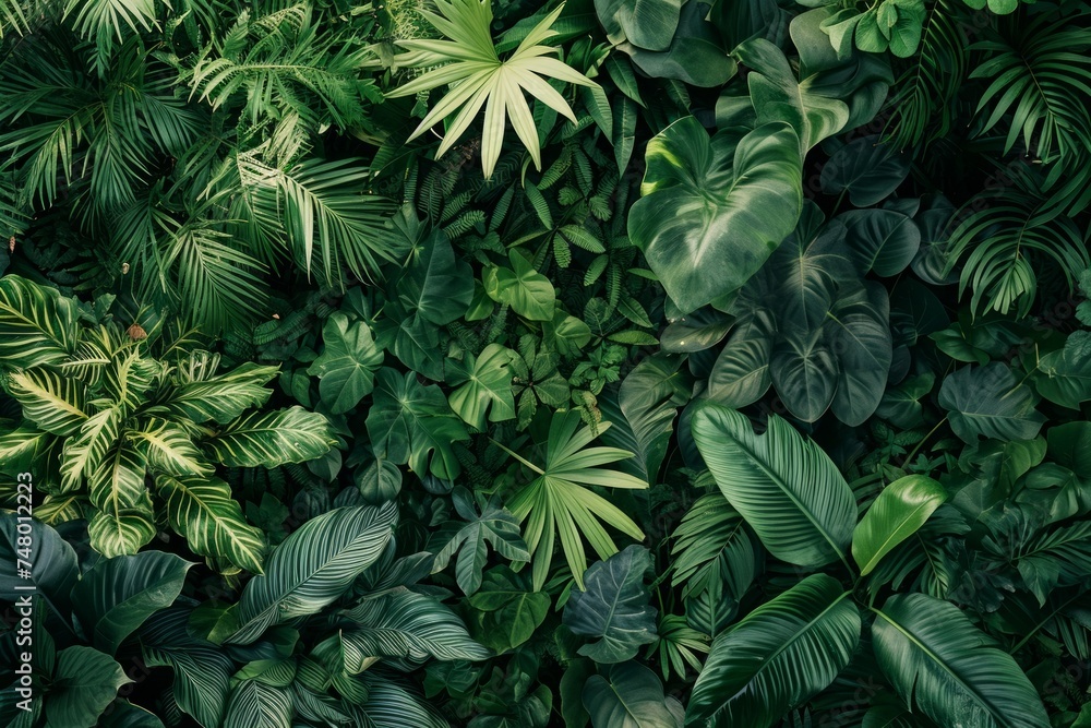 Sprawling panorama featuring lush foliage, creating a natural background Sprawling panorama featuring lush foliage, creating a natural background
