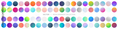 Set of vector gradients, modern combinations of colors and shades. Color gradient palette in the form of circles.	