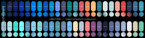 Set of vector gradients, modern combinations of colors and shades. Color gradient palette in the form of circles.	
