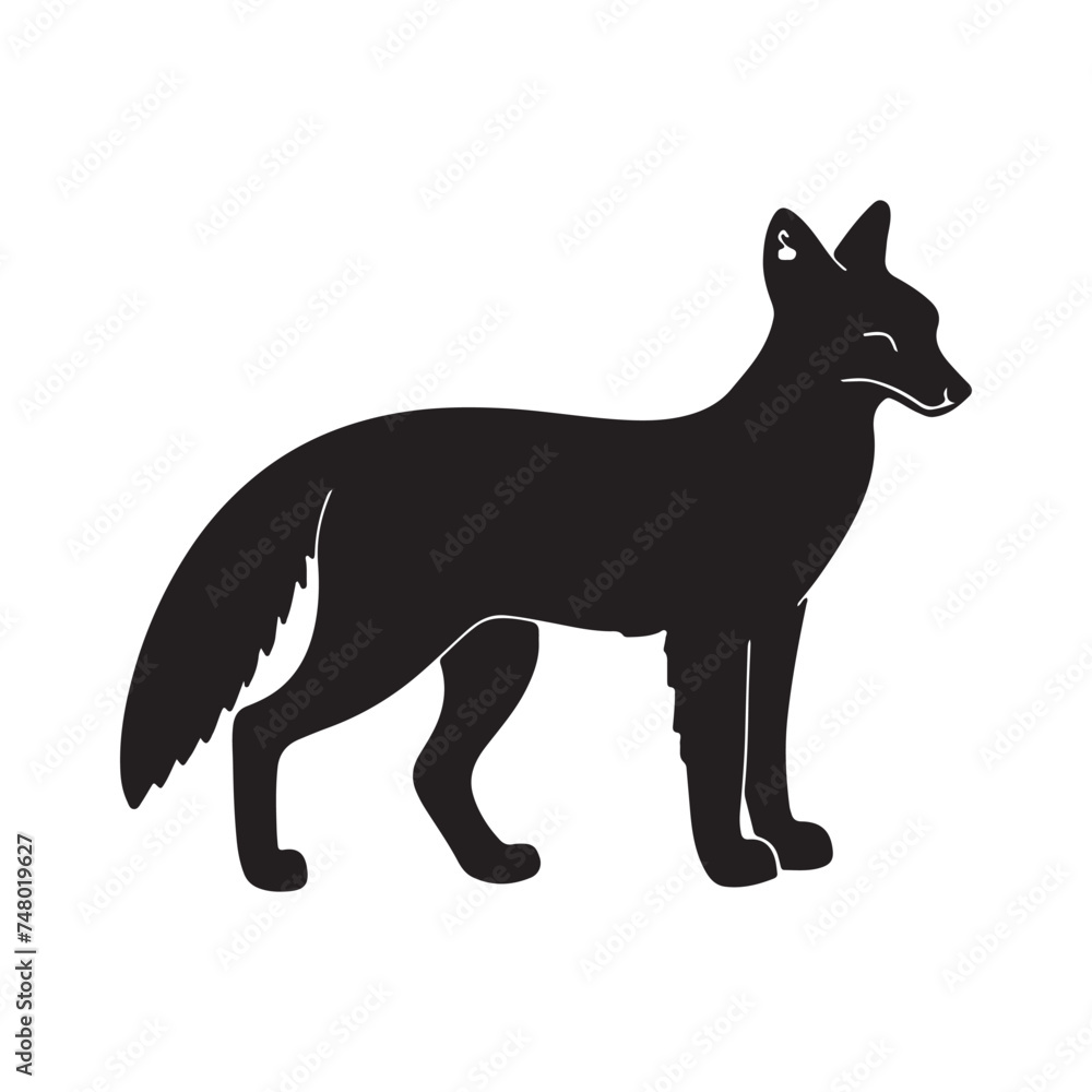 Fototapeta premium fox silhouette