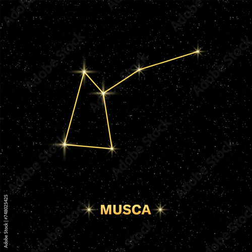 Musca constellation icon. Starry sky. Flat style. Vector illustration