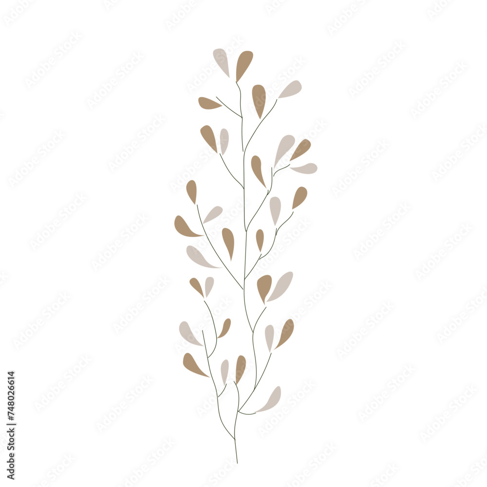 branch of a flower branch of a flower