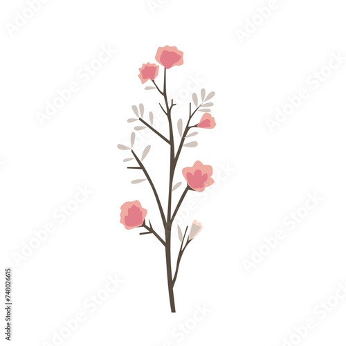 branch of a flower