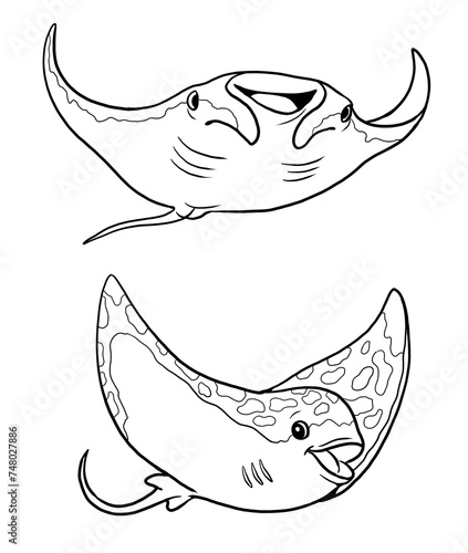 Funny stingray and manta ray to color in. Template for a coloring book with fish. Coloring template for kids.	