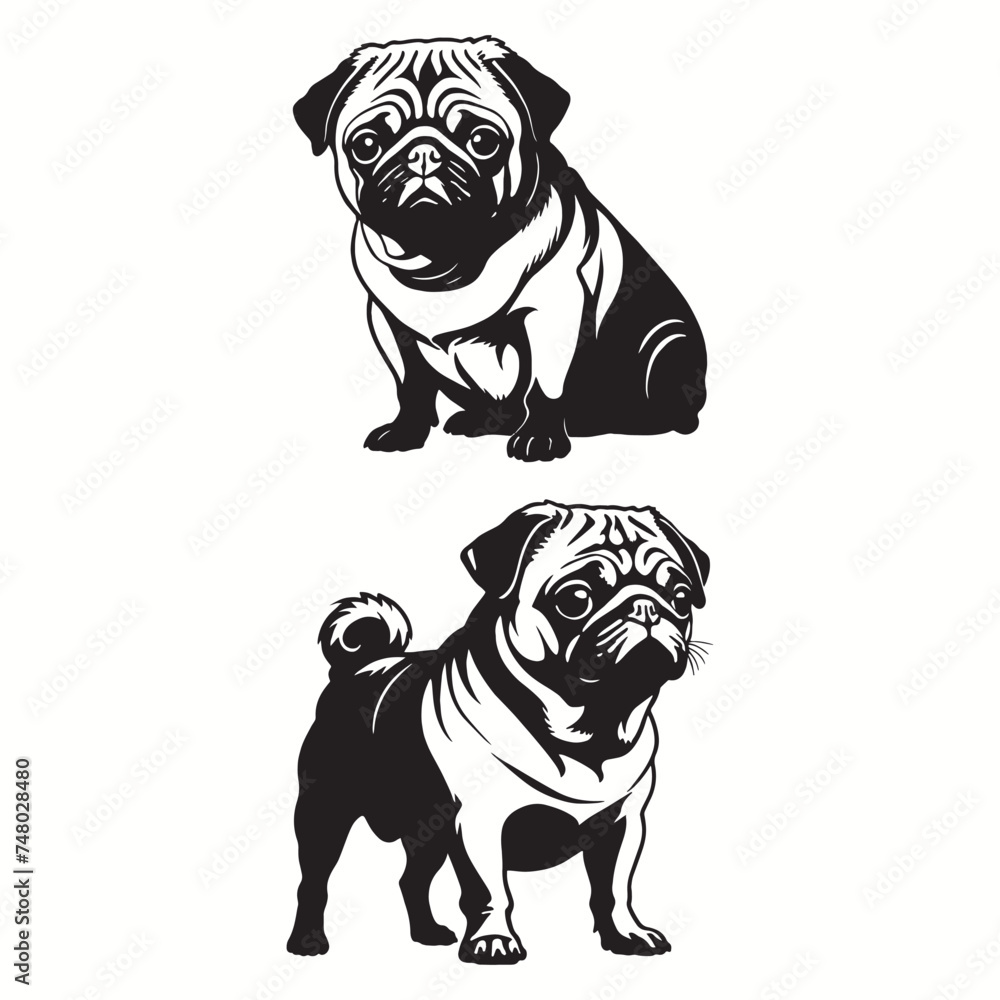 Pug silhouettes and icons. Black flat color simple elegant Pug animal vector and illustration with white background.