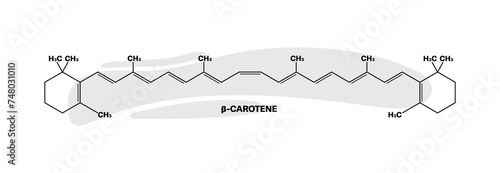 B-Carotene formula icon. Chemical formula. Linear style. Vector icon