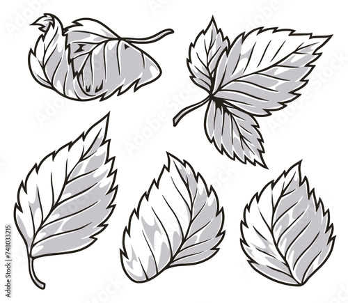 Rose petals set emblems monochrome