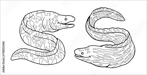 Funny moray eel to color in. Vector template for a coloring book with fish. Coloring template for kids.	 photo