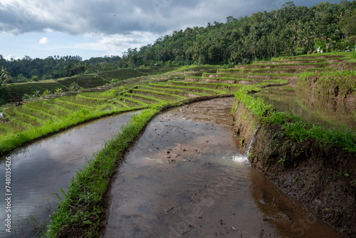 Subak is a traditional Balinese irrigation system based on mutual justice. This system regulates the distribution of water fairly. Terraced rice field in countryside of Bali