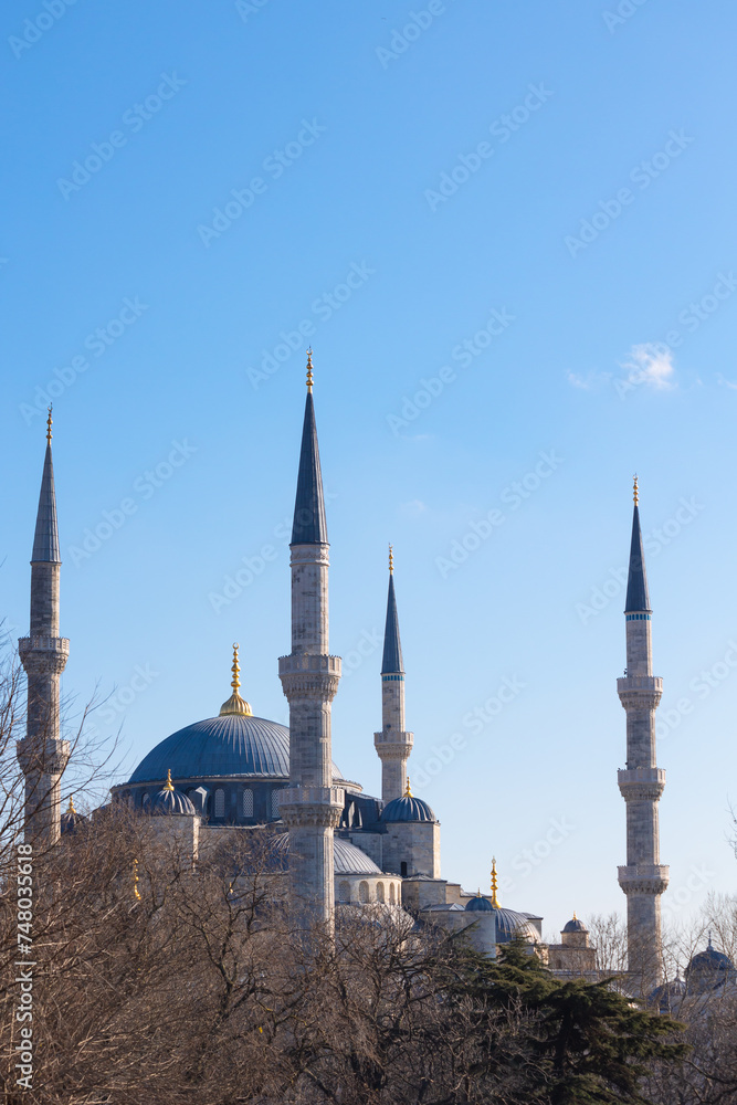Sultanahmet or Blue Mosque vertical photo.