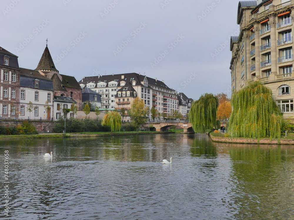 Paysage d'automne avec fleuve  à Strasbourg