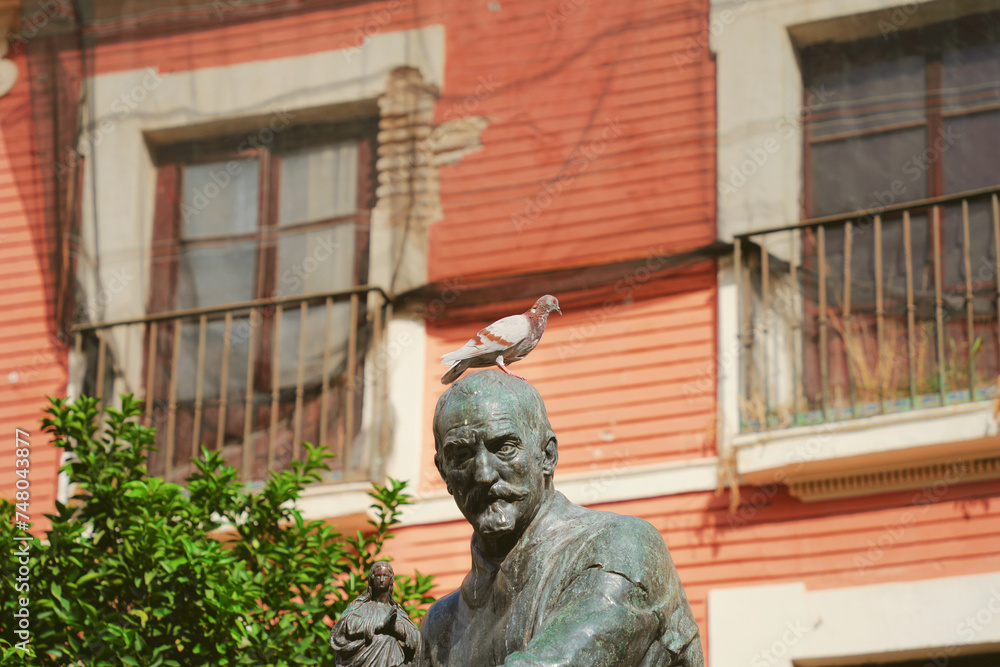 dove sitting on the statue dove sitting on the statue