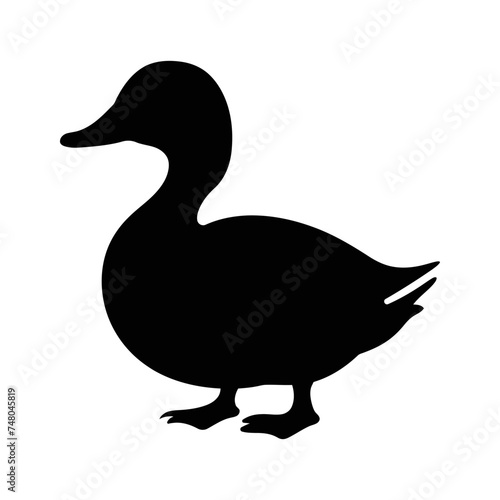 Duck silhouette. Domestic hand-drawn duck bird silhouette vector illustration
