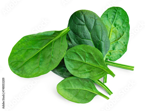 Pile of fresh green baby spinach leaves  isolated on white background. Various Spinach Macro. Top view. Flat lay..