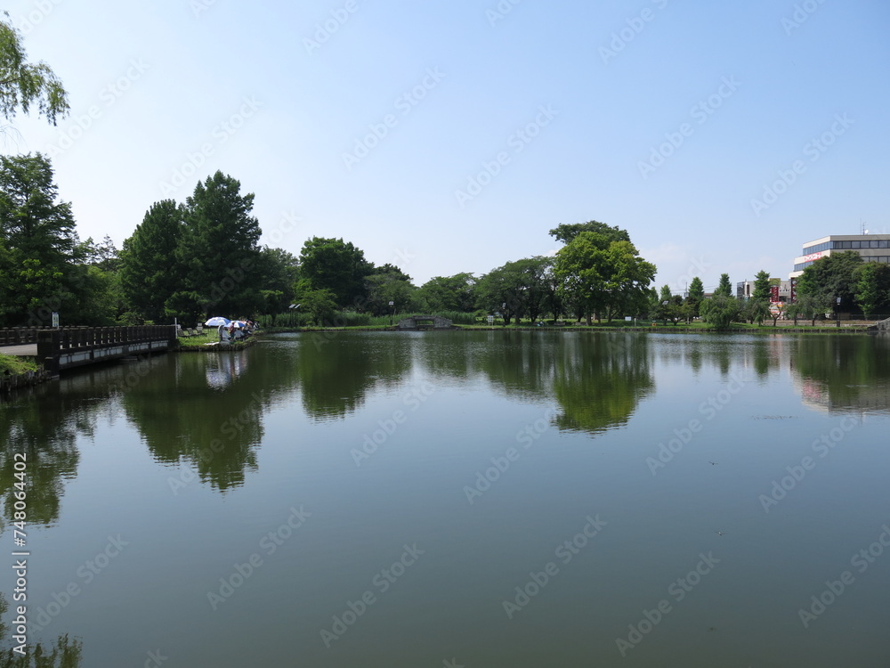行田市の水城公園に広がるしのぶ池 行田市の水城公園に広がるしのぶ池
