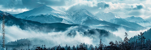 Panoramic landscape of fog forest in mountains