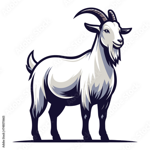 Goat full body vector illustration, farm pet, animal livestock, for butchery meat shop and dairy milk product, design template isolated on white background
