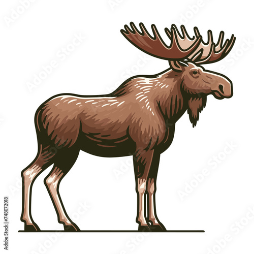 Moose buck elk full body vector illustration, zoology illustration, wild animal moose design template isolated on white background