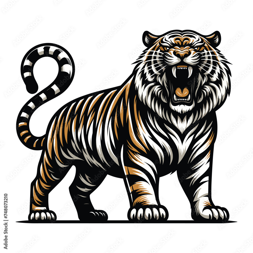 Obraz premium Wild roaring tiger full body vector illustration, zoology illustration, animal predator big cat design template isolated on white background
