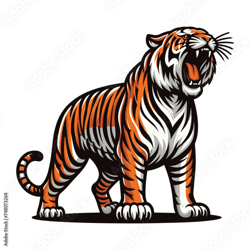 Wild roaring tiger full body vector illustration  zoology illustration  animal predator big cat design template isolated on white background