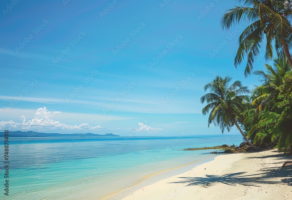 Serene tropical beach with crystal clear water and palm trees