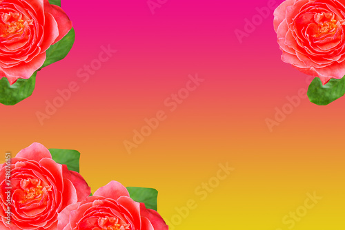 fresh red roses bouquet with free space for text background