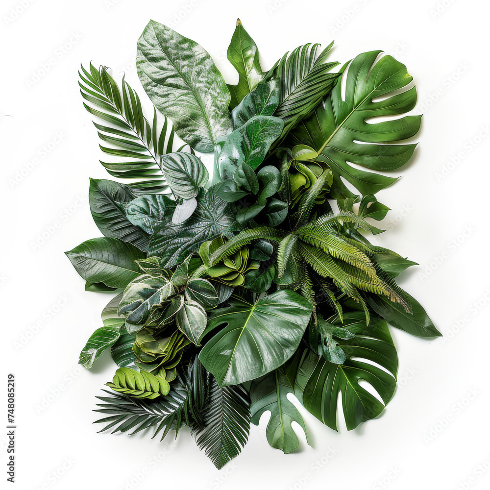 Obraz premium banner with a realistic, high-definition pattern of tropical leaves, including detailed views of monstera and palm leaves