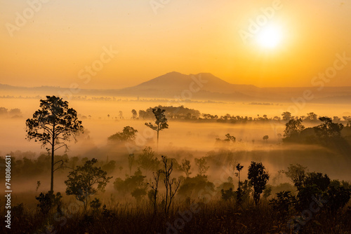Landscape of Thung Salaeng Luang National Park Phetchabun Province Beautiful nature of sunrise and morning fog in the savannah in winter season thailand. photo
