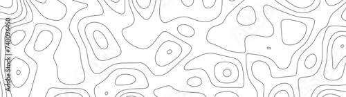 Abstract geographic curved, vector illustration. seamless textrue, vintage waves. Panorama view multicolor wave curve line. Topography map pattern, swirl line. white paper curved reliefs background.