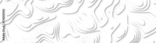 3d render, abstract white paper background. Paper cut vector art background banner texture. multi layer cutout geometric pattern on vector, Abstract soft white background with waves.
