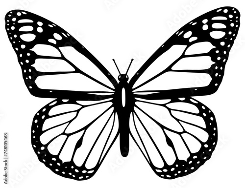 butterfly isolated on white