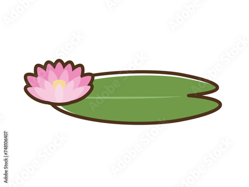 スイレンの葉_ピンクの花(線あり)