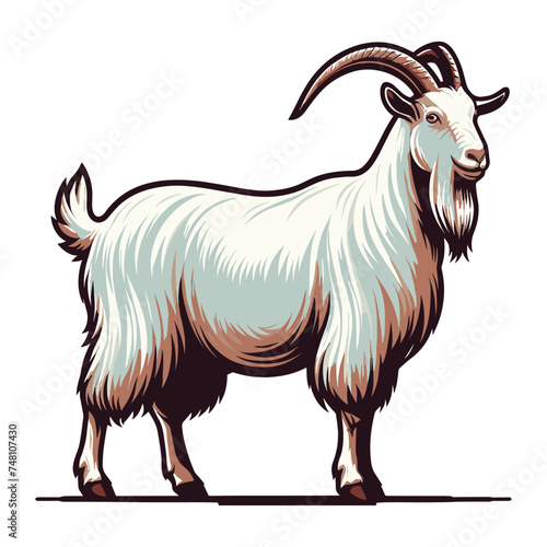 Goat full body vector illustration, farm pet, animal livestock, for butchery meat shop and dairy milk product, design template isolated on white background © lartestudio