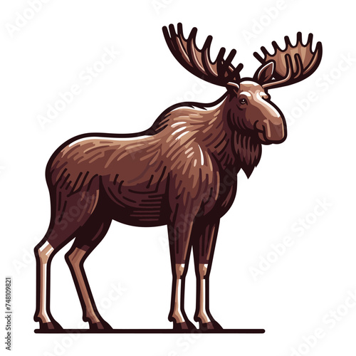 Moose buck elk full body vector illustration, zoology illustration, wild animal moose design template isolated on white background
