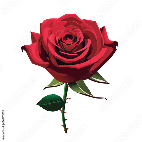 Flor rosa roja vector realista