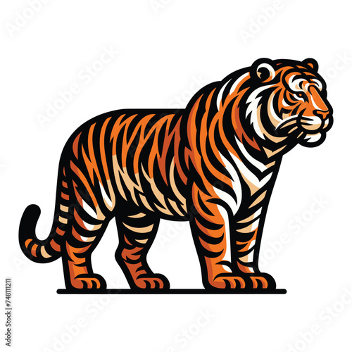 Wild tiger full body vector illustration, zoology illustration, animal predator big cat design template isolated on white background