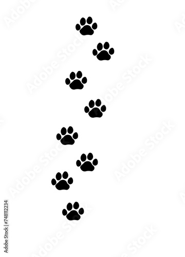 black cat tracks on a white background