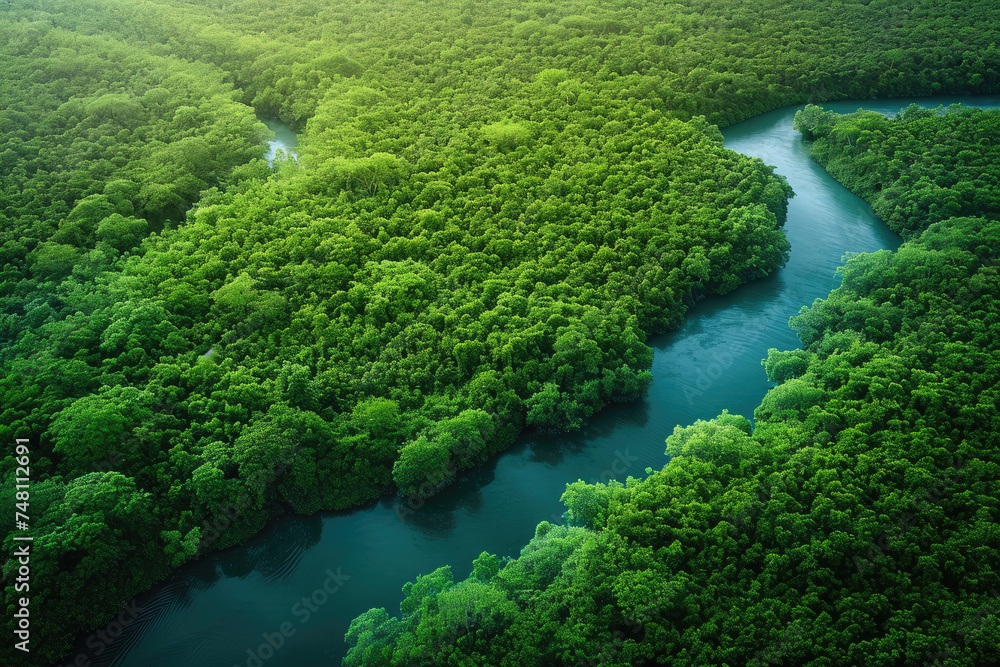 Into the Heart of the Amazon: Delve Deep into the Untamed Wilderness of the World's Largest Rainforest, Where Nature Reigns Supreme. Aerial View of the River and Rainforest.