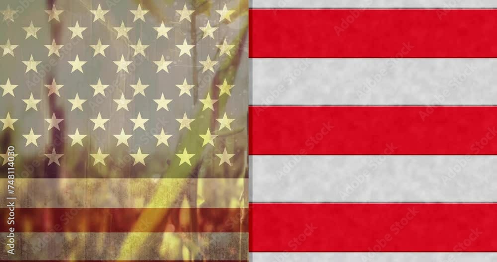 Animation of plants at sunset and stars and stripes of american flag Animation of plants at sunset and stars and stripes of american flag