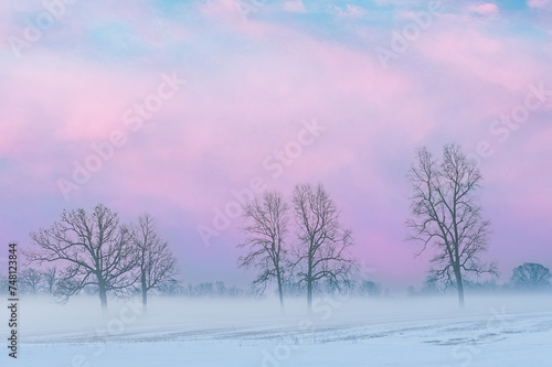 Winter landscape of bare trees at dawn in a rural setting, Michigan, USA © Dean Pennala