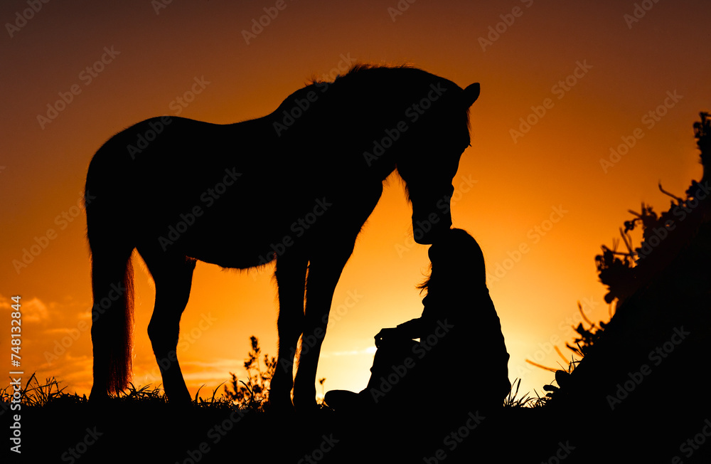 Silhouette of horse, sunset colours, black, yellow and orange.