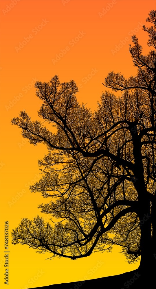 ramas, arboles, siluetas, vegetacion, roble, bosque, paisaje, vector, hojas, abstracto, sauce, tronco, malesa, pegatina ramas, arboles, siluetas, vegetacion, roble, bosque, paisaje, vector, hojas, abstracto, sauce, tronco, malesa, pegatina